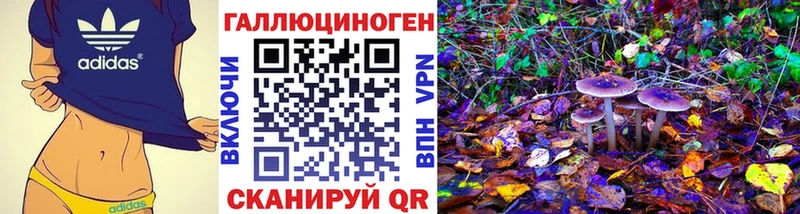 Псилоцибиновые грибы Cubensis  ОМГ ОМГ вход  Донской 